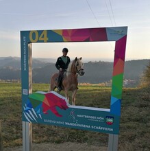 Hartberger Höh_viewpoint with horse_Eastern Styria | © Gemeinde Schäffern