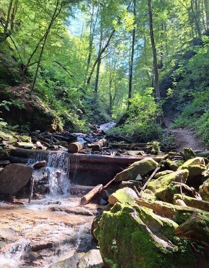 Südsteirische Weinstraße in der Südsteiermark Österreich