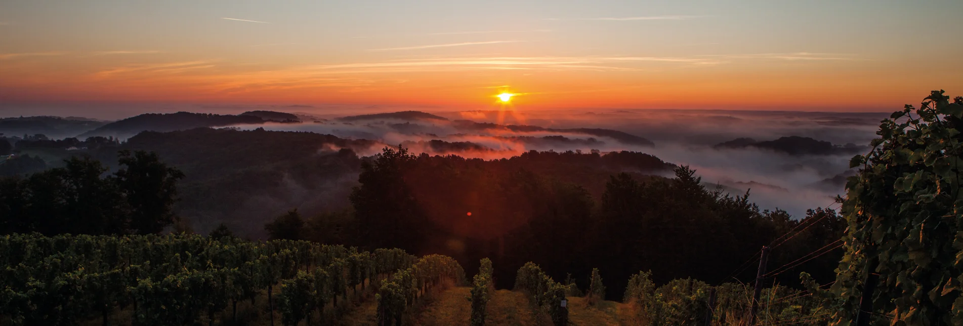 Zeugnisse der Vergangenheit - Vulkanismus in der Steiermark. | © Winzer Vulkanland I Ulrike Korntheuer