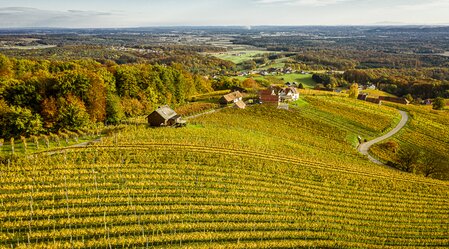 Weingärten Klöch im goldenen Herbst | © Thermen- & Vulkanland | Pixelmaker