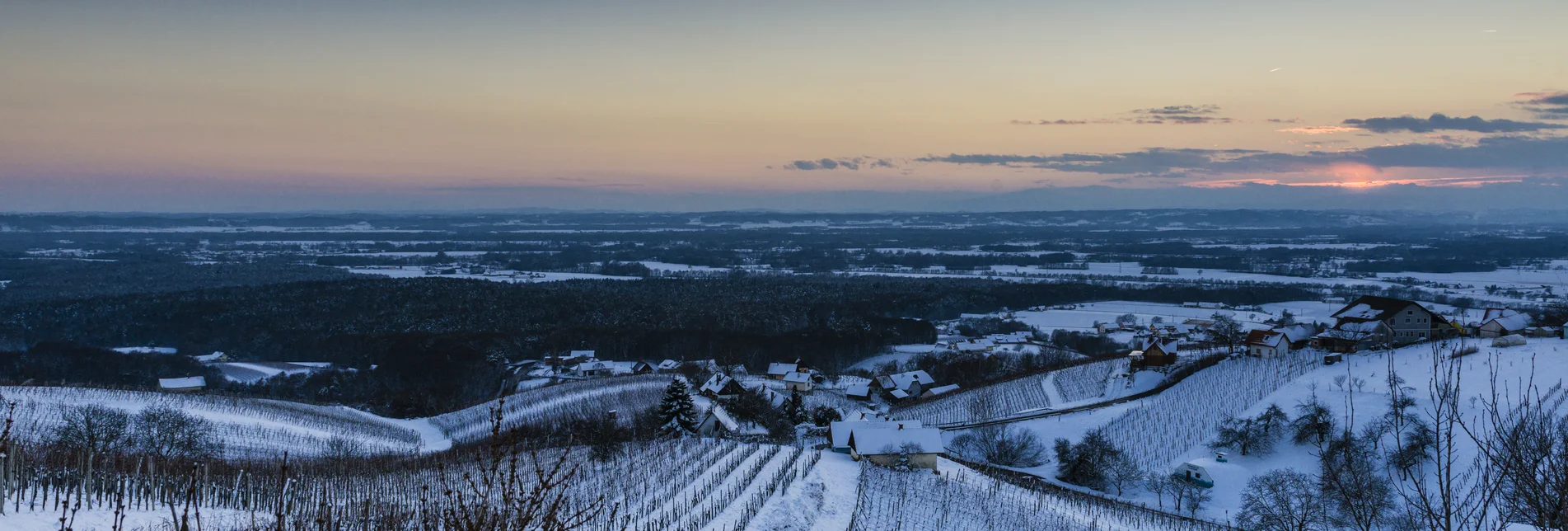 Snow covered vineyards in Bad Radkersburg | © Thermen- & Vulkanland | Pixelmaker | pixelmaker.at