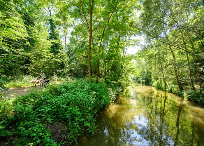 Cycling in the Murauen | Pixelmaker | © Tourismusverband Thermen- & Vulkanland | pixelmaker.at