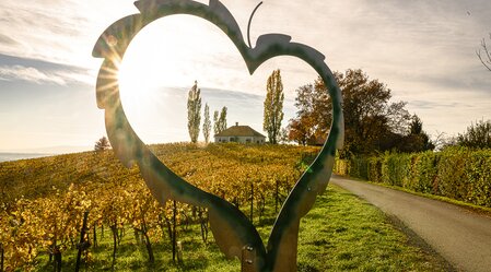 Goldener Herbst im Thermen- & Vulkanland Steiermark | © Thermen- & Vulkanland | Pixelmaker | Robert Sommerauer