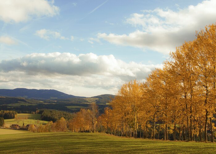 Herbst im Joglland | ©  Oststeiermark Tourismus | Maria Fank