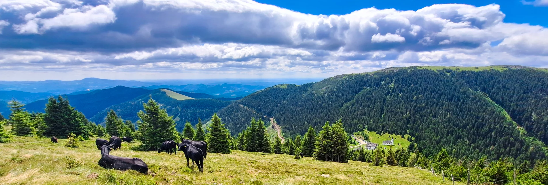 Blick vom Gleinalmspeik | © Verena Menapace | Verena Menapace