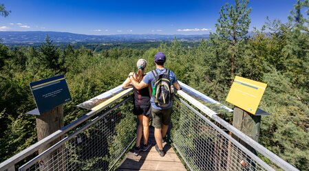 Blick vom Buchkogel | © Region Graz | Harry Schiffer