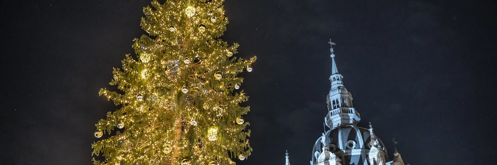 der illuminierte Grazer Christbaum | © Stadt Graz | Foto Fischer