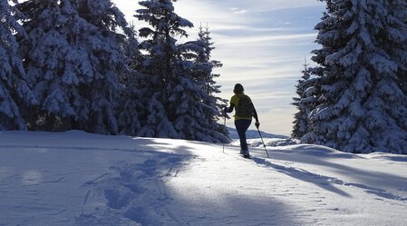 Winterwandern | © Erzberg Leoben | Weges