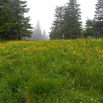 Speikkogel | © Weges OG | WEGES OG