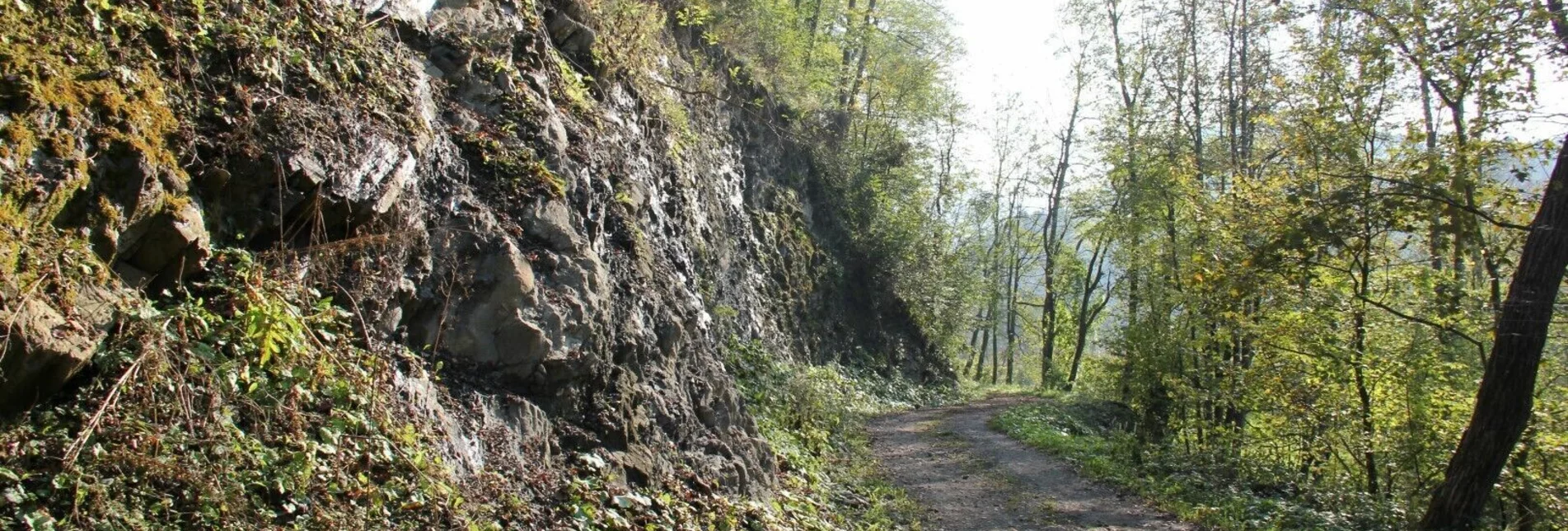 Hiking route Kleeblattwanderweg Nr. 2 - Wandern in Leutschach a.d.W. - Touren-Impression #1 | © Ulrike Elsneg