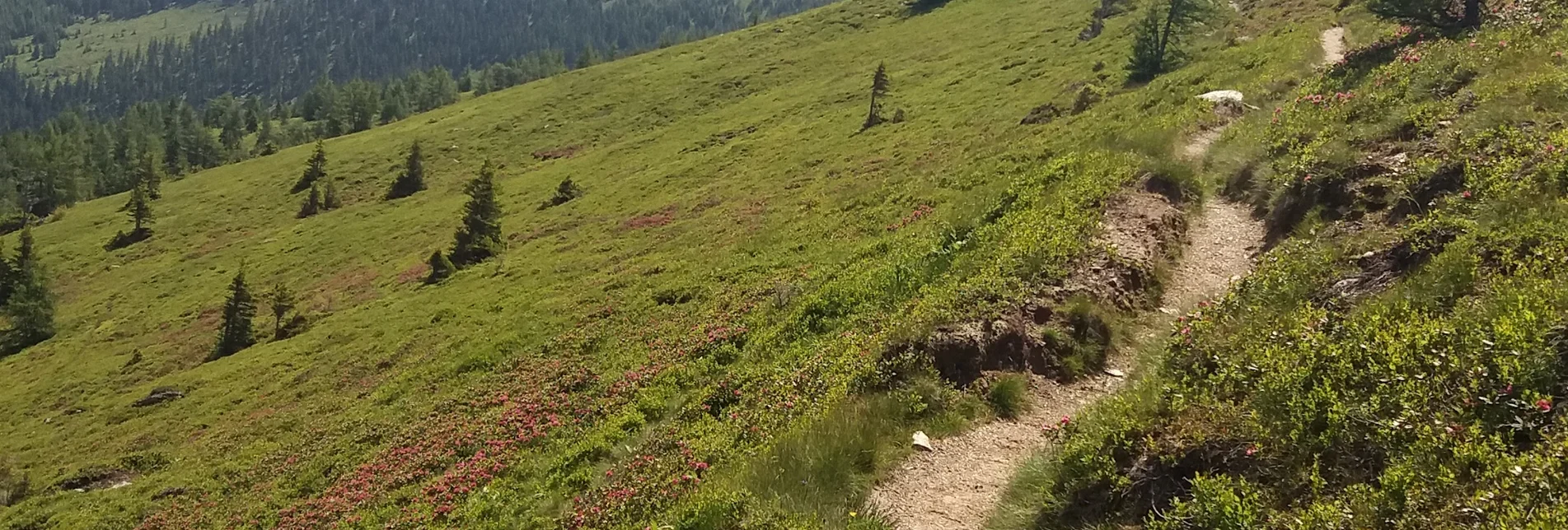 Fernwanderweg Koralm Kristall Trail - Touren-Impression #1 | © Region Graz