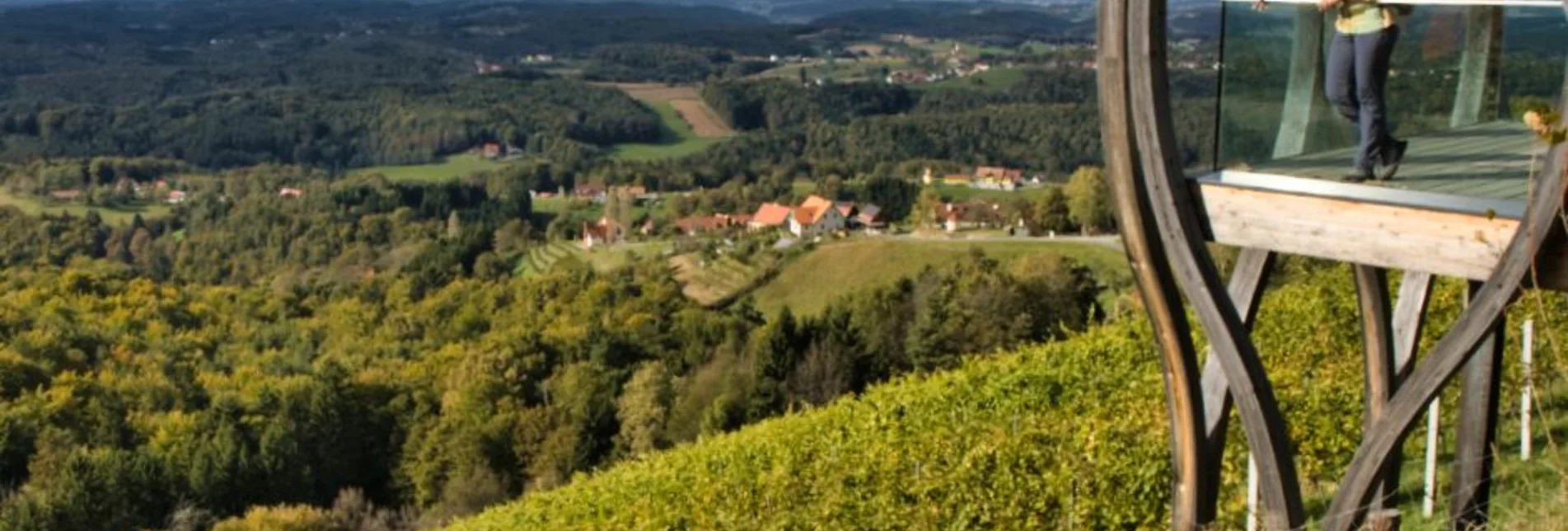 Wanderung Pistorfer Rundwanderweg Nr. 19 – Tour 31 lt. WK „Von der Alm zum Wein“ - Touren-Impression #1 | © TV Südsteiermark - WEGES