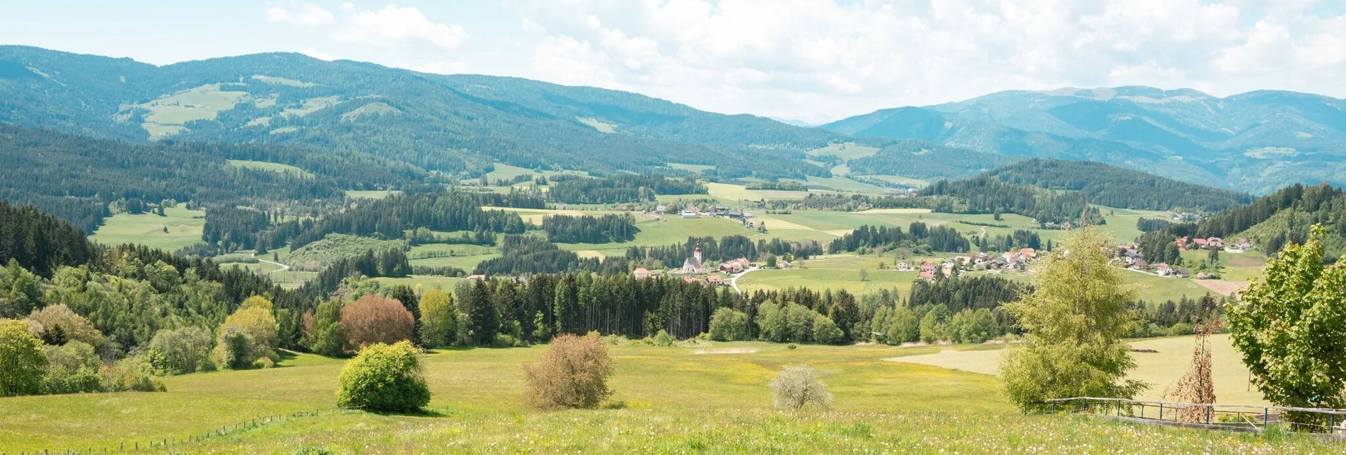 Wanderung Mühlner Dorfrunde - Touren-Impression #1 | © Tourismusverband Murau