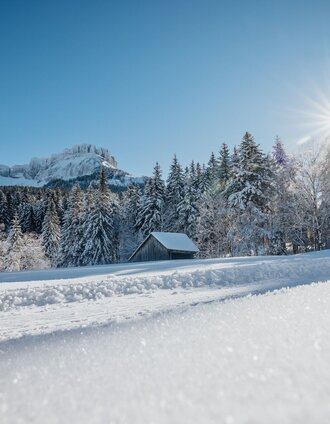 Winterwanderung Blaa Alm | Katrin Kerschbaumer | © Ausseerland