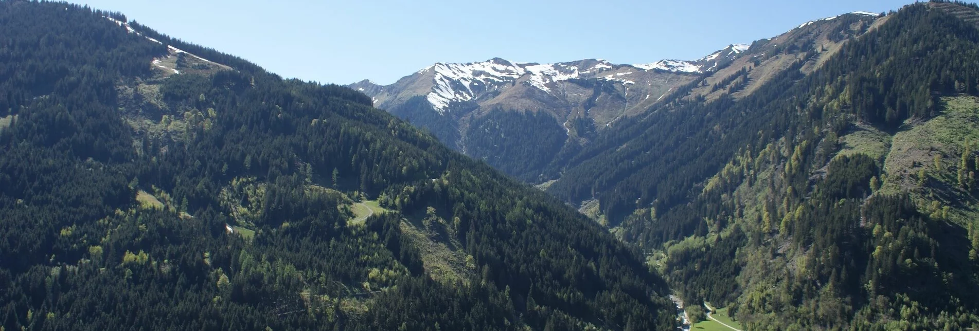 Trailrunning Stegerwald Trail - Touren-Impression #1 | © Erlebnisregion Schladming-Dachstein