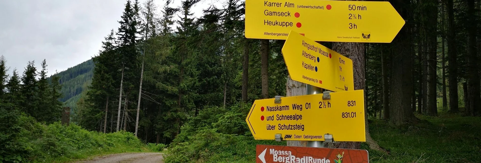 Mountain Hike Vom Moassa über das "kleine Fuchsloch" auf die Rax im Naturpark Mürzer Oberland - Touren-Impression #1 | © TV Hochsteiermark