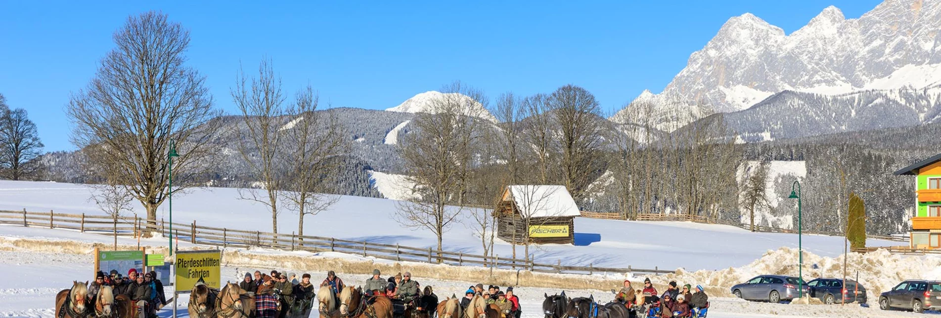 Pferdeschlitten Hofrunde Rohrmoos - Touren-Impression #1 | © Tourismusverband Schladming - Martin Huber