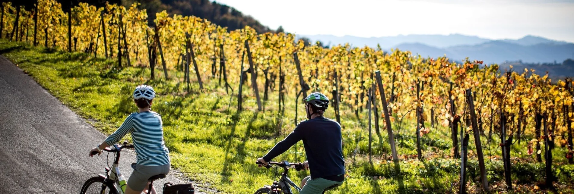 Bike Riding Cycling for pleasure - Wine Road Tour Variant 3 - "Kranachberg-Sernauberg" - Touren-Impression #1 | © Südsteiermark