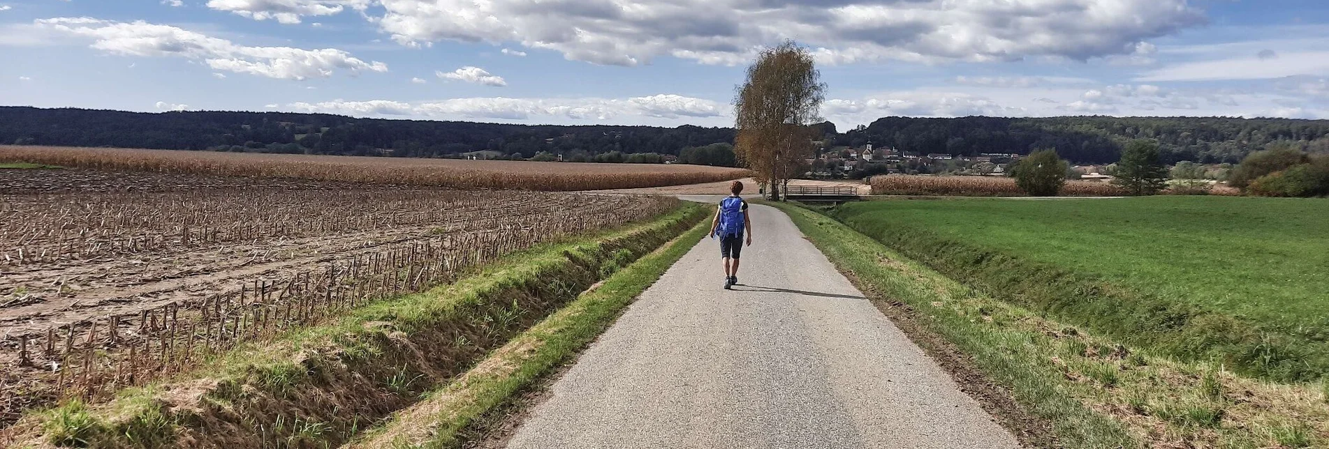 Hiking route Safentalweg Bad Blumau - Touren-Impression #1 | © Weges OG