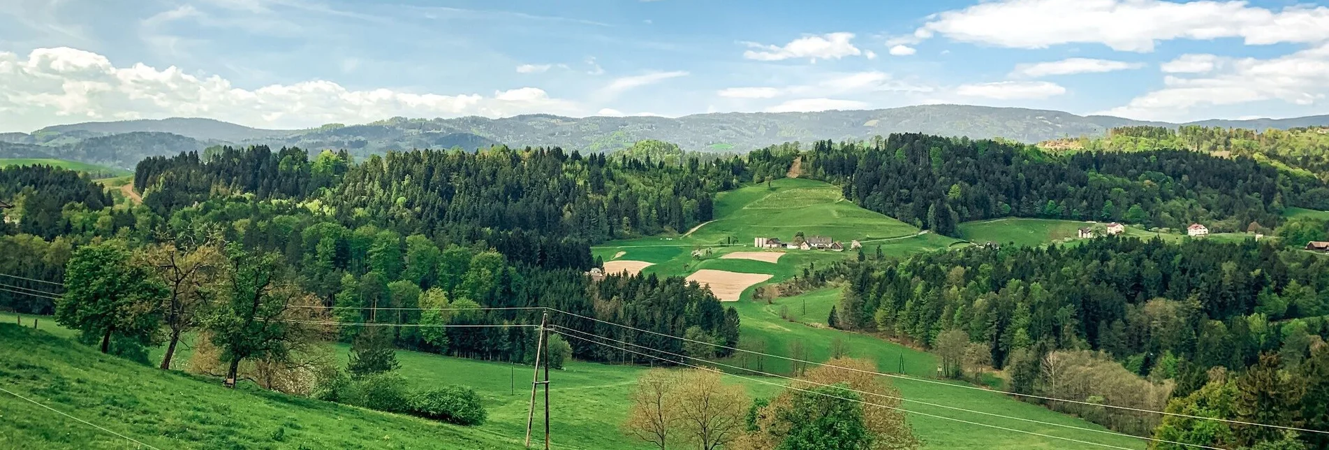 Mountain Biking View round - Flow experience at the giant - Touren-Impression #1 | © Südsteiermark