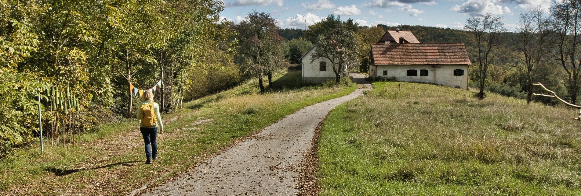 Wanderung Taggerwaldweg - Touren-Impression #1 | © Weges OG