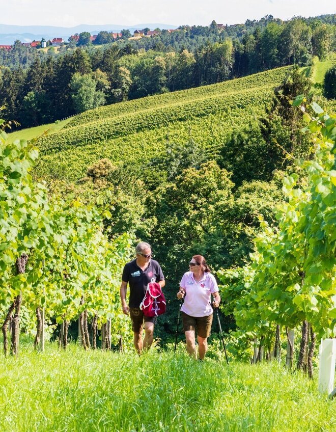 Genuss-Wandern In Der Südsteiermark | Österreich