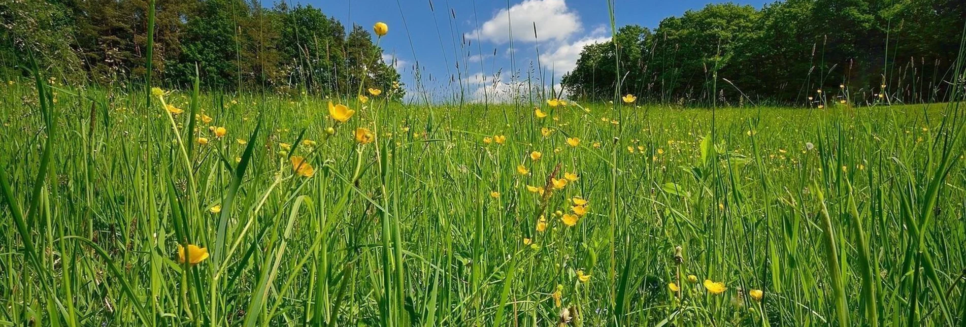 Wanderung Genussrundweg, Anger bei Weiz - Touren-Impression #1 | © Oststeiermark Tourismus