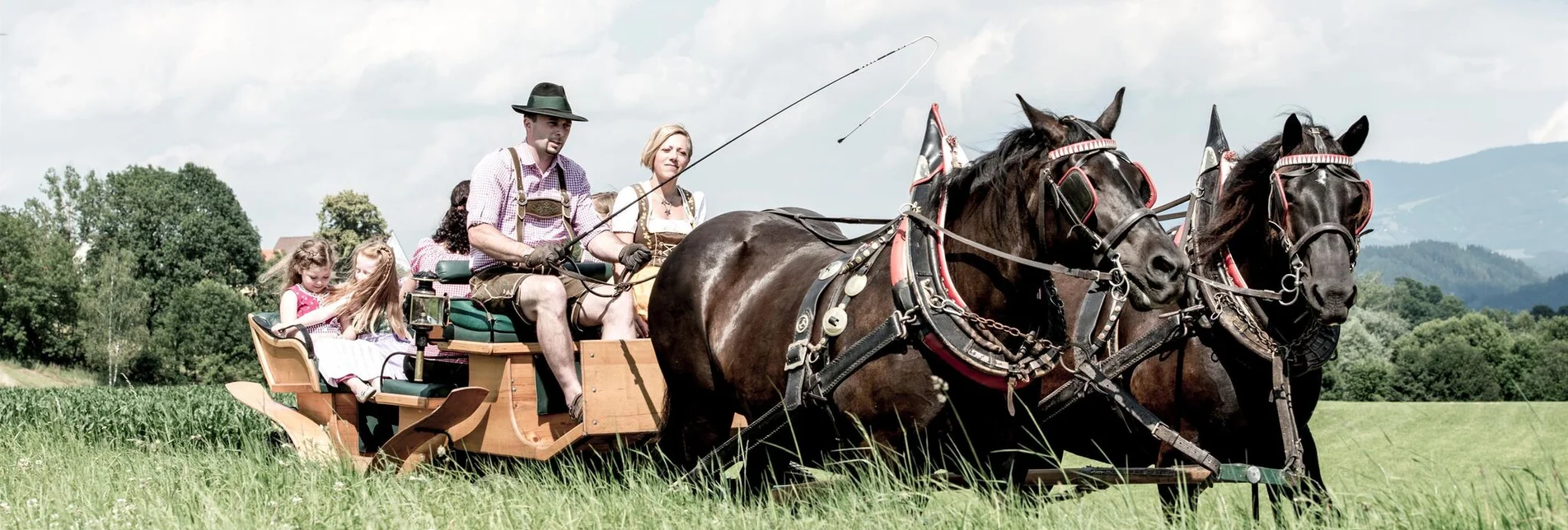 Horse Carriage Ride Kutschenfahrten Norikerhof Deutinger - Touren-Impression #1 | © Norikerhof Deutinger