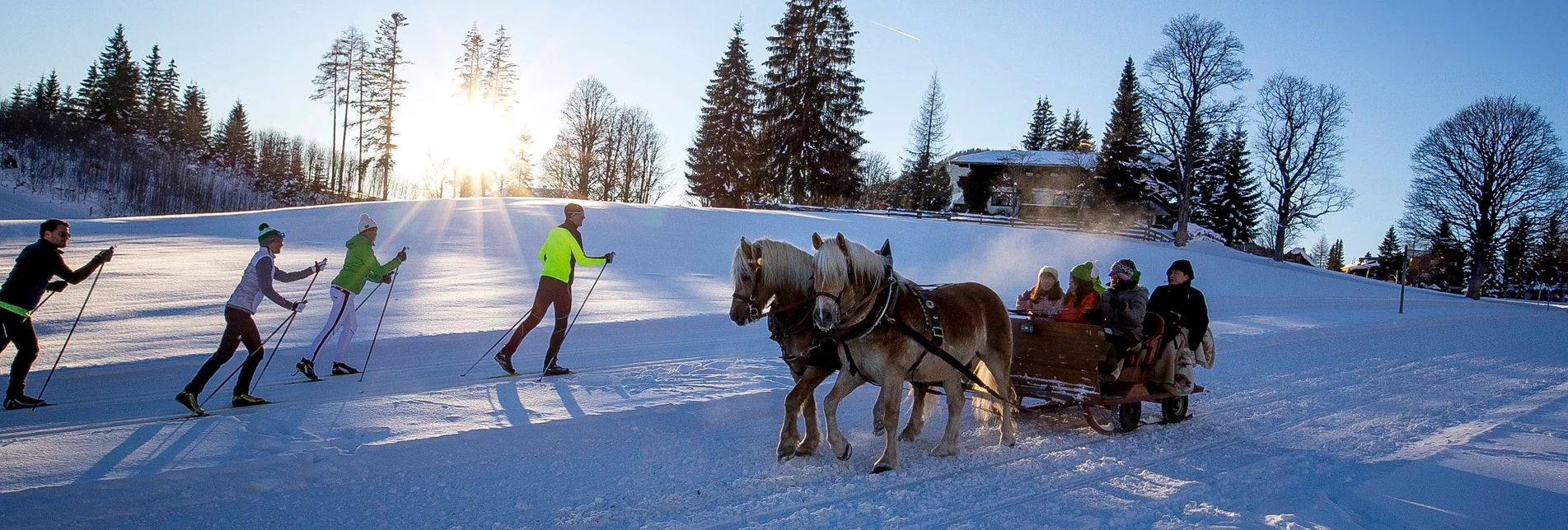 Horse Carriage Ride "Rössinground" - sleighs - Touren-Impression #1 | © Erlebnisregion Schladming-Dachstein