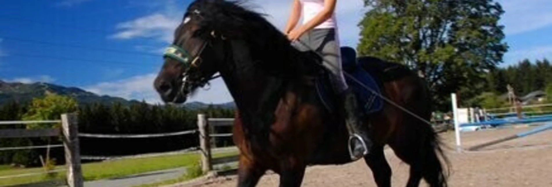Horse Riding Riders' Paradise Zechmannhof  - Touren-Impression #1