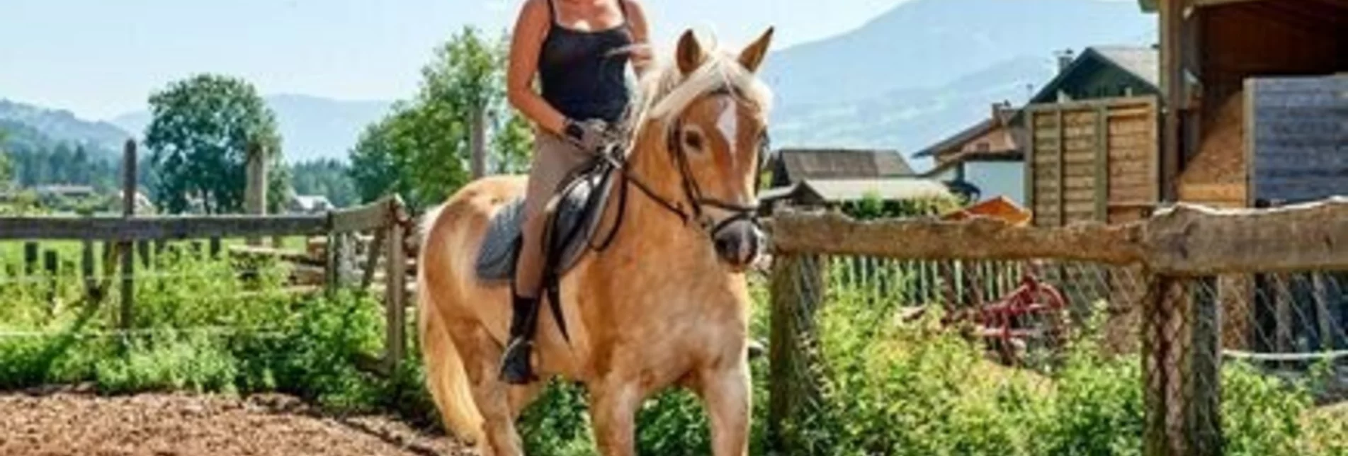 Horse Riding Horseback riding at Abenteuerhof Schiefer - Touren-Impression #1