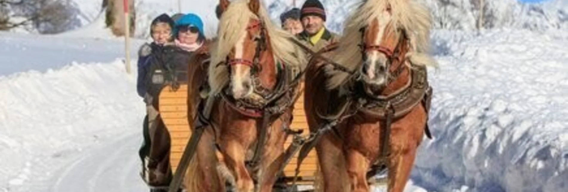 Horse Carriage Ride Stürzerhof - Touren-Impression #1