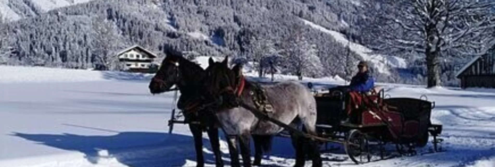 Pferdeschlitten Pferdeschlittenfahrten Wagnerhof - Touren-Impression #1