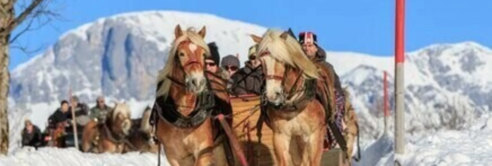 Horse Carriage Ride Horse-drawn sleigh ride Vom Reiter - Touren-Impression #1