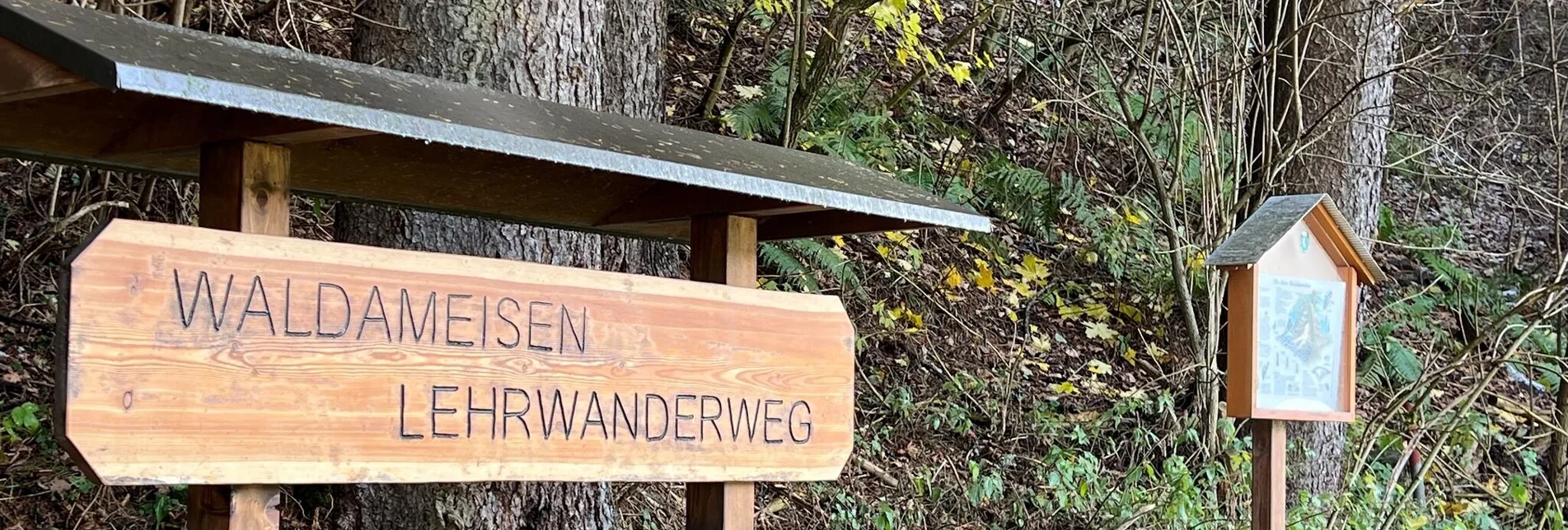 Hiking route Ameisenweg - Touren-Impression #1 | © Heidemaria Kainer