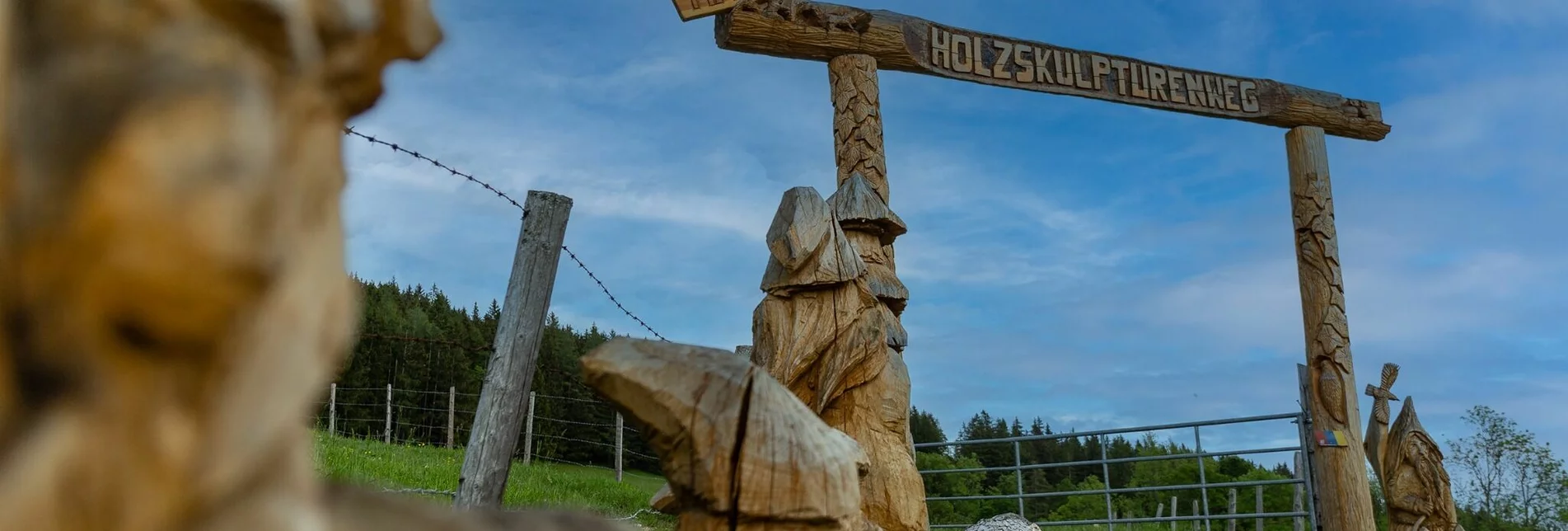 Wanderung Nechnitz-Runde über Holzskulpturenweg, Nechnitz - Touren-Impression #1 | © Almenlandwirt Haider