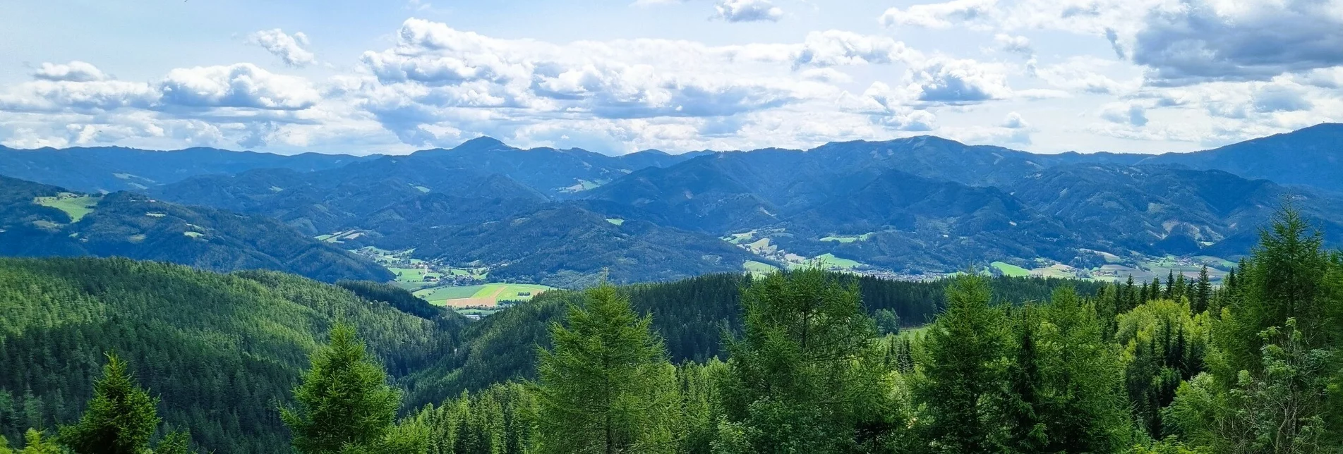 Hiking route Große Herzogbergrunde - Touren-Impression #1