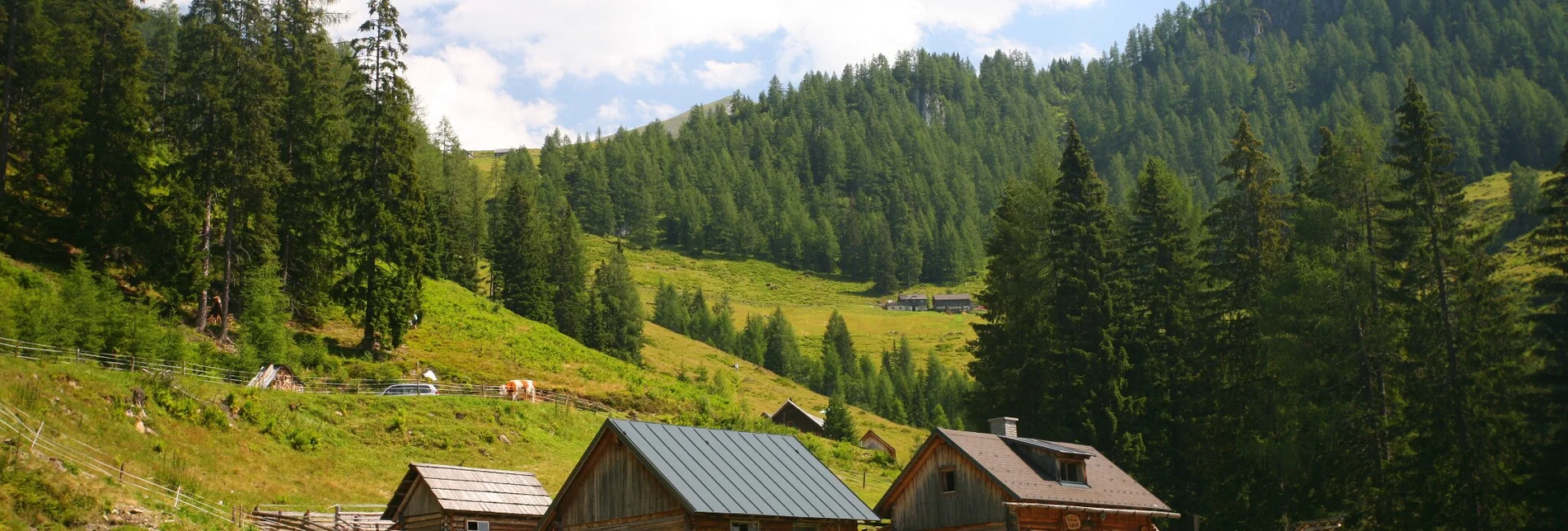 Hiking route Hike to the Gumpenalm - Touren-Impression #1