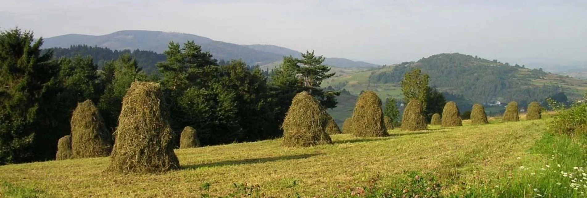 Themen- und Lehrpfad Via Natura Etappe 8: Arbeiten im Einklang mit der Natur COPY - Touren-Impression #1 | © Tourismusverband Murau