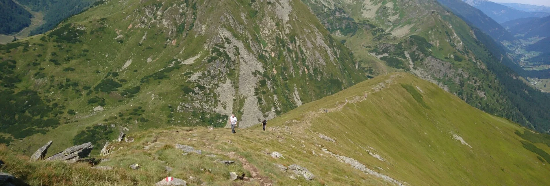 Wanderung Hornfeldspitze COPY - Touren-Impression #1 | © Tourismusverband Murau