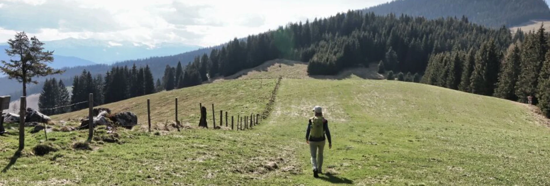 Wanderung Steinplan-Runde von Kleinlobming - Touren-Impression #1 | © Weges OG