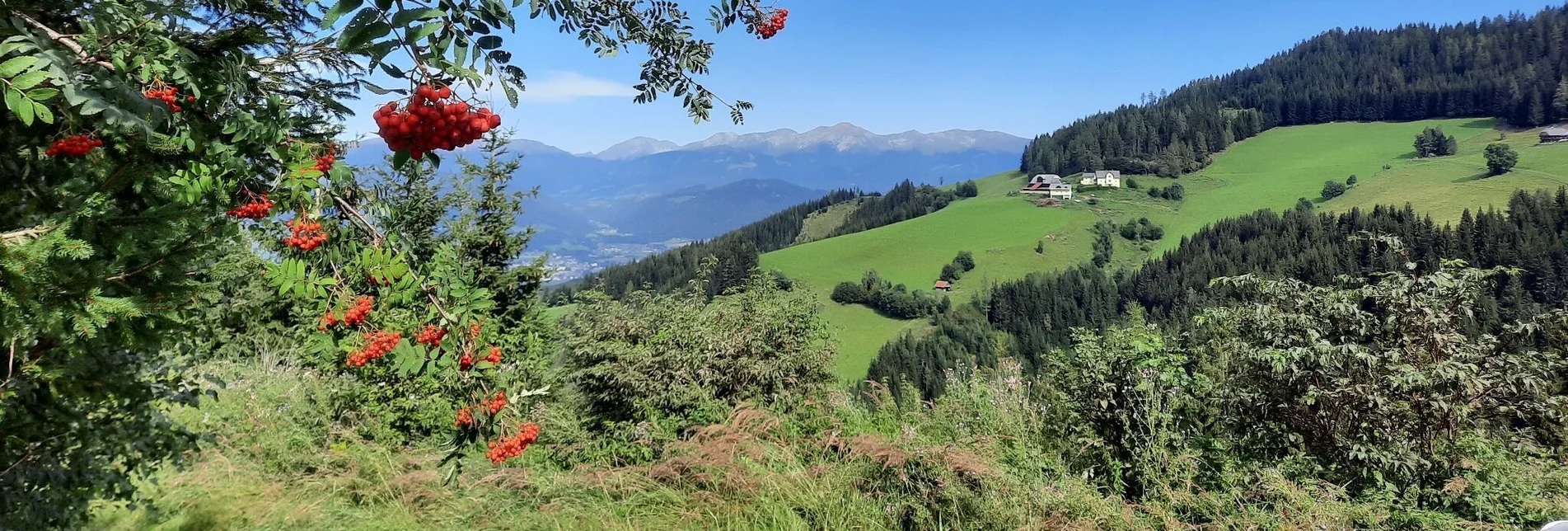 Wanderung Steinplan-Runde von Kleinlobming - Touren-Impression #1 | © WEGES OG