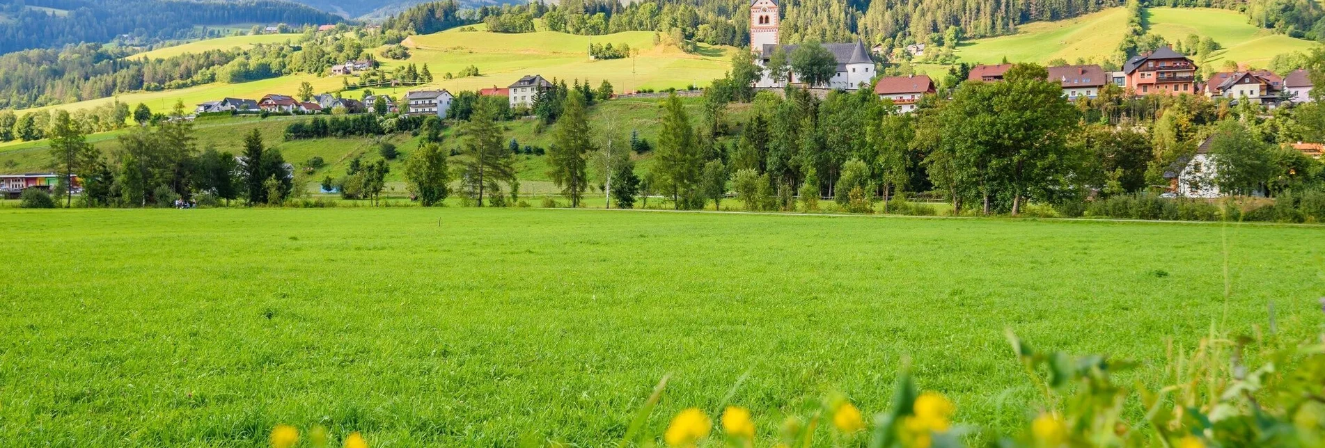 Bike Riding R55 Katschtal cycle path - Touren-Impression #1 | © Tourismusverband Murau