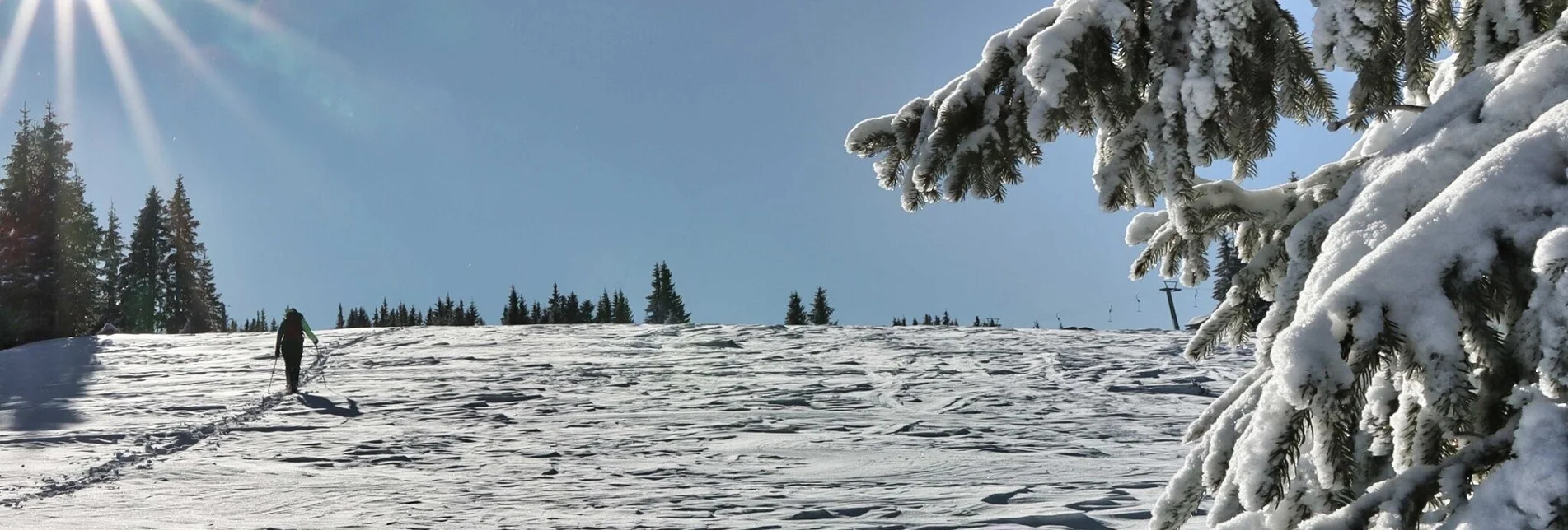 Hiking route Schneeschuhwanderung Moschkogel - Touren-Impression #1 | © Weges OG