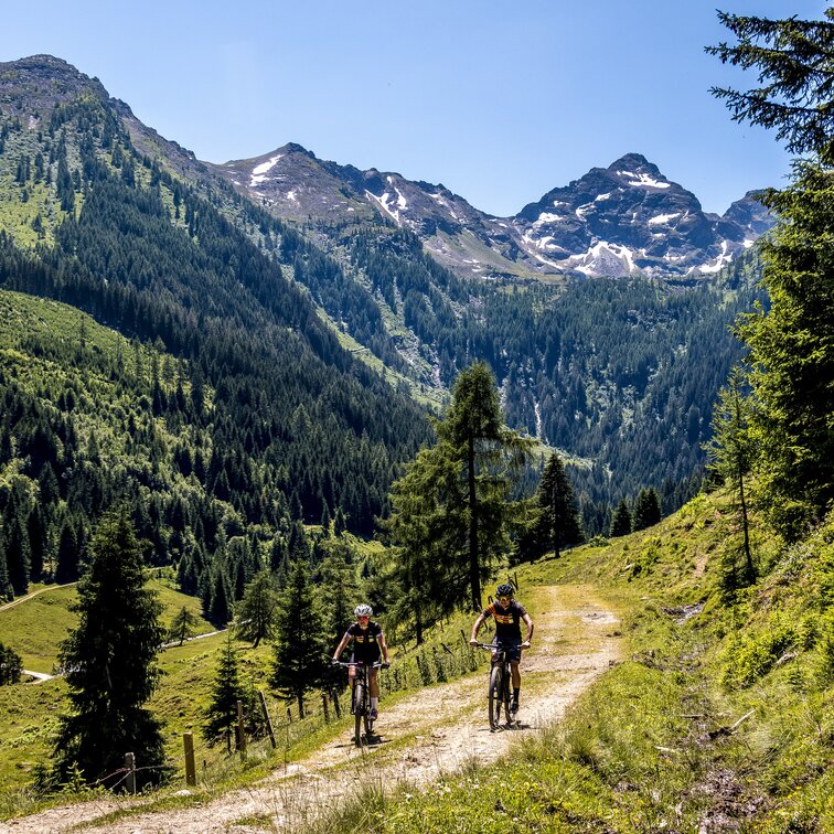 Radfahren In Der Steiermark | Steiermark.com