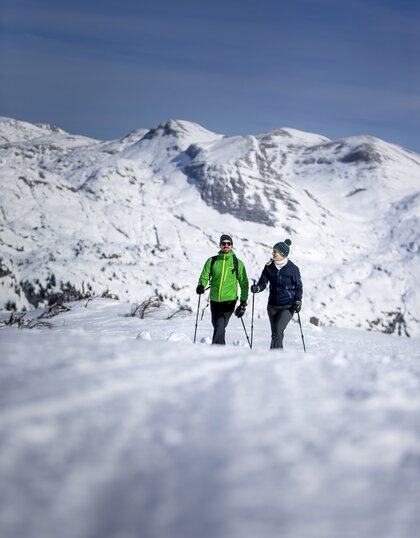 Regionale Steirische Produkte | Steiermark.com