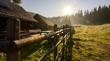 On the Viehbergalm | © Steiermark Tourismus | pixelmaker.at