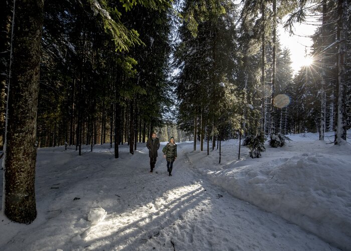 Winterspaziergang im Ausseerland, auf dem Weg zur Blaa-Alm | © Steiermark Tourismus | Tom Lamm