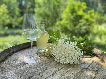 Syrup on the wine barrel_Pöllau_Eastern Styria | © Design ab Hof