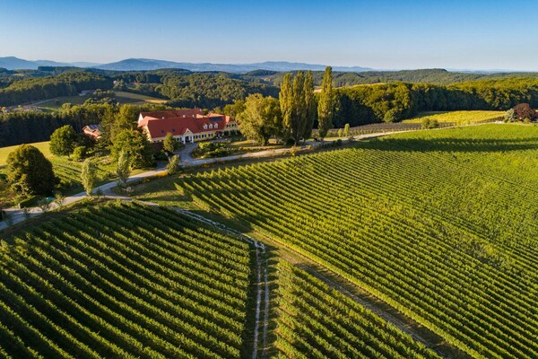 The manor house on the Buchertberg